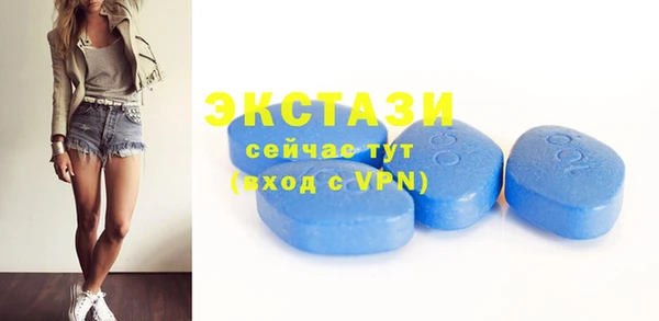 apvp Рославль